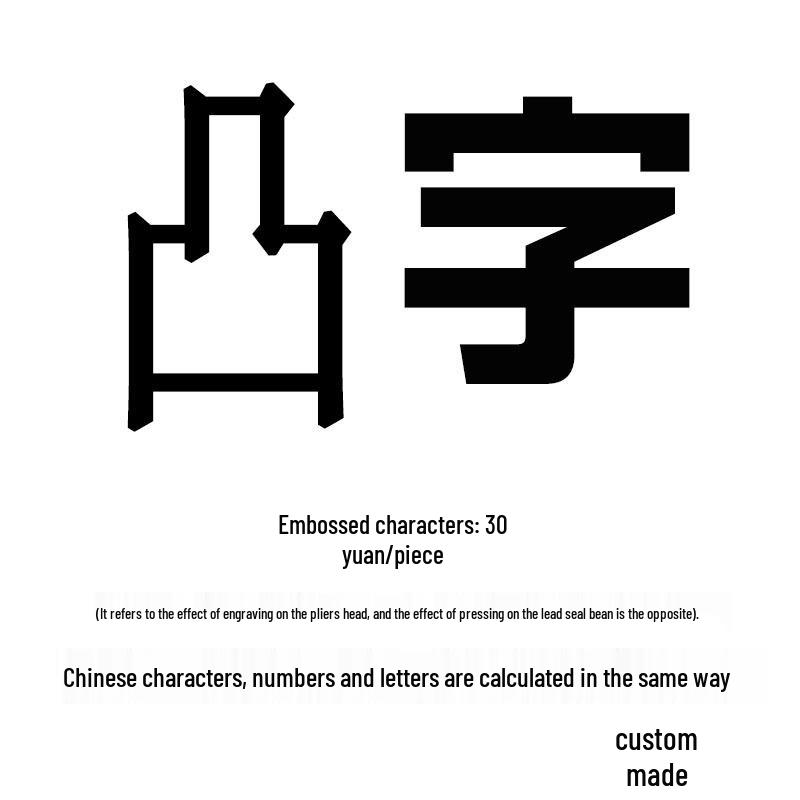 Elek Anti-Theft Seal Kit: Lead Seal Beans, Pliers, Wire, Lock, and Water Meter Seal Set