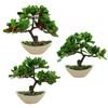 Artificial Plant Offices Parties Restaurants Shops