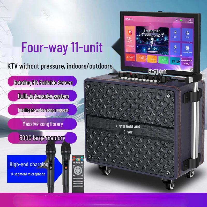 KINYO Portable All-in-One KTV System with Display CN plug (adapter included)