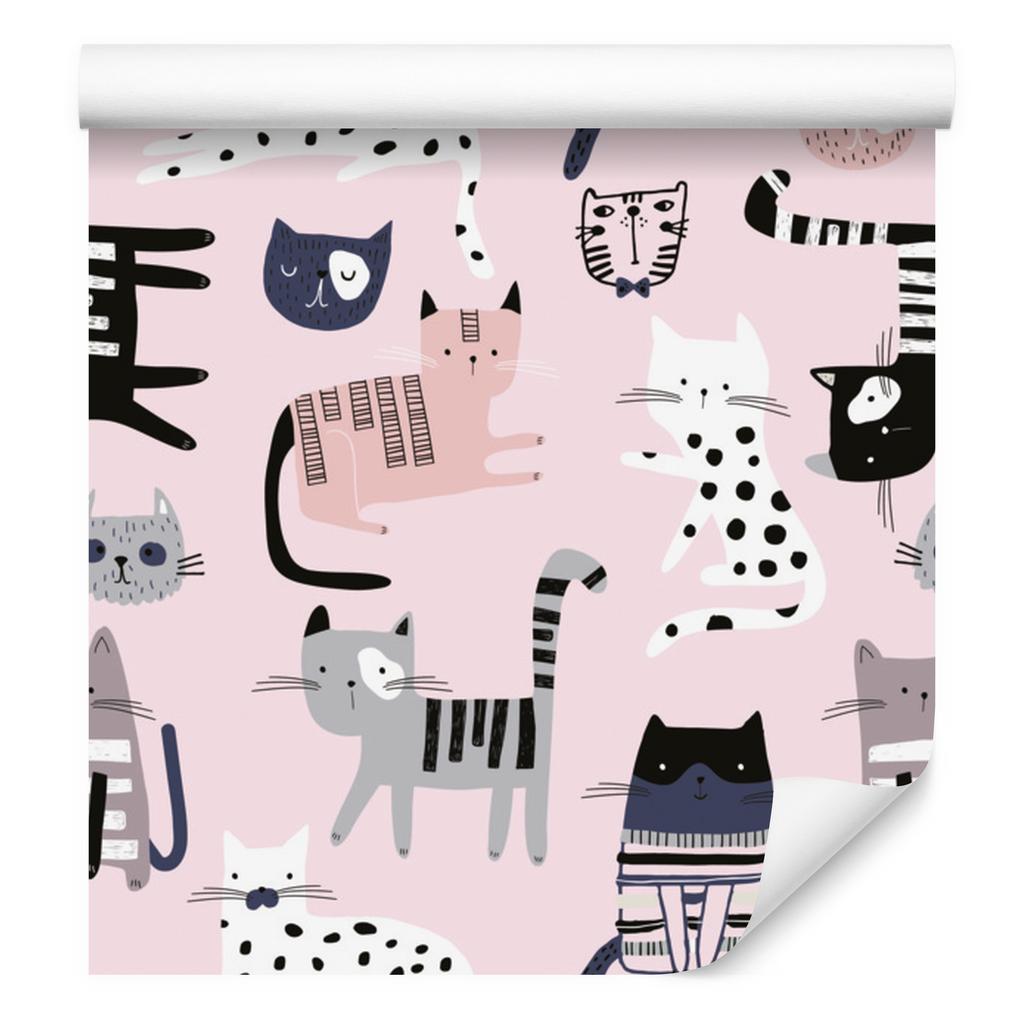 Colorful Kittens Wallpaper for the Background of the Living Room and Bedroom 50x1000