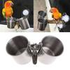 Tasse mangeoire pour oiseaux avec pince Bol d'alimentation en acier inoxydable Bol pour nourriture et eau pour perroquets Gris d'Afrique Perruches Mangeoire pour oiseaux pour fenêtre