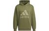 Sweatshirts Men's Dark Olive Green Hooded Moderate Regular IX4912