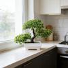 Realistic Artificial Potted Plants In White Perfect for Decorating Corridors Cabinets Drawers Bookshelves Rooms and Tabletops