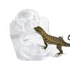 Magnetic Reptiles Suction Cup Food Tray Gecko Easy Installation Feeding Station Food Dish For Lizards Chameleons Tree Frogs