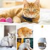 Cat Treat Dispenser Toy Kitten Snacks Temptation Ball Cat Treat Dispenser Cat Treat Feeder Toy With Catnip Balls For