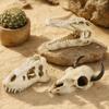 Kreative 3D-Schädel-Reptilienhöhle Ausgeschnittenes Reptilien-Kletterunterschlupf Aquarien-Enthusiasten