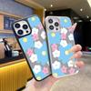 European Station Fresh Contrasting Color Flower Mobile Phone Case iPhone16 Frosted Glass Protective Case Apple 17 Fashion Women's Model