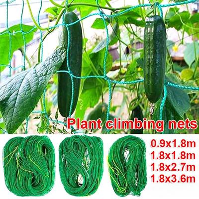 Rete per piante rampicanti in plastica con design a traliccio, riutilizzabile, verde