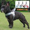 Harnais pour chien réfléchissant réglable sangle de poitrine pour animaux de compagnie pour petits chiens moyens chat maille respirante harnais chiot gilet Yorks fournitures