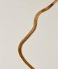 Novice Tokyo Snake Chain Necklace [Stainless] / Gold