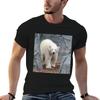 Polar Bear TShirt Unisex T Shirt Cotton High Quality T Shirt Unisex Casual Cotton Tshirt  Tshirt