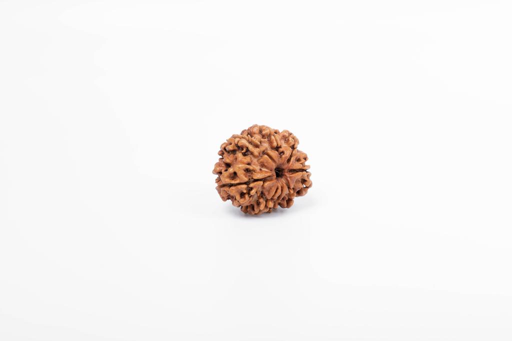 Natural 8 Mukhi Rudraksha Bead – Nepali Origin | Spiritual Bead for Obstacles Removal, Success & Protection | Organic & Lab Certified