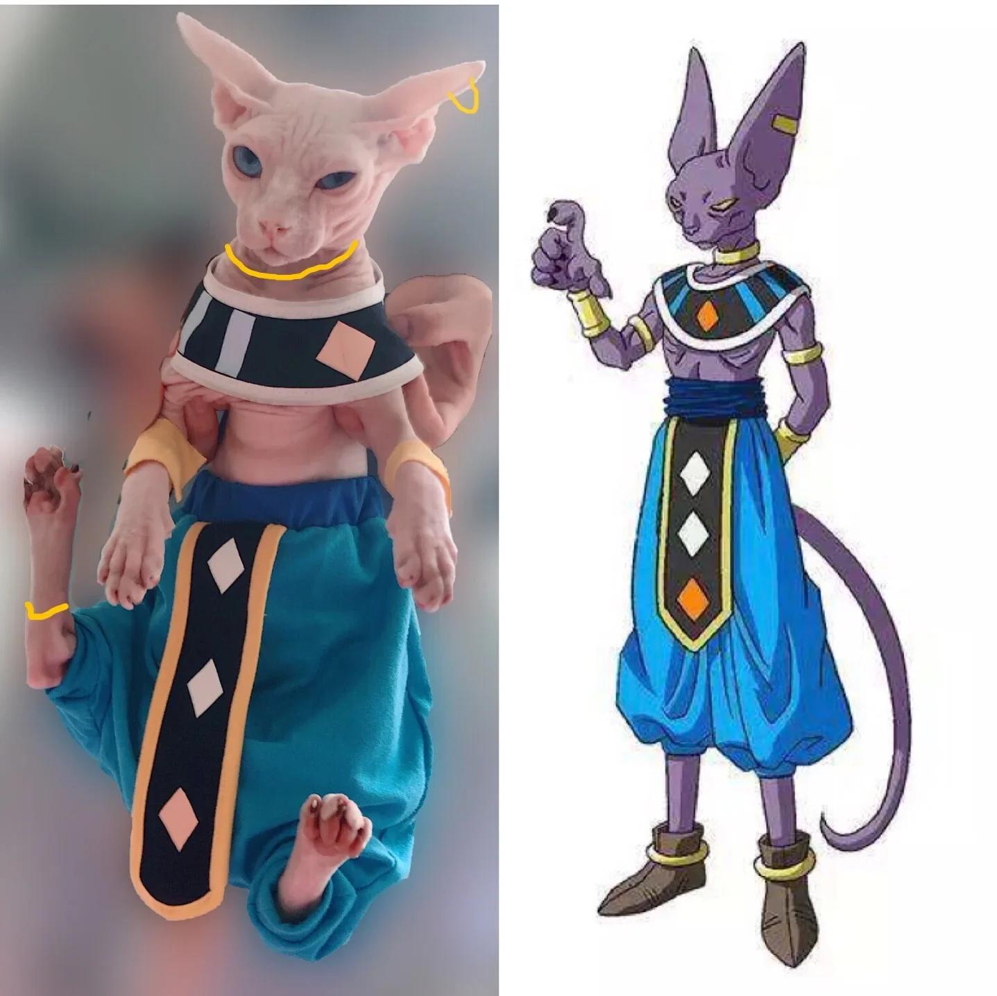

Handmade Sphynx Cosplay Costumes Hairless Cat Clothes God of Destruction Crotch-Proof Trousers Dropshipping Wholesale 3-5 months синий