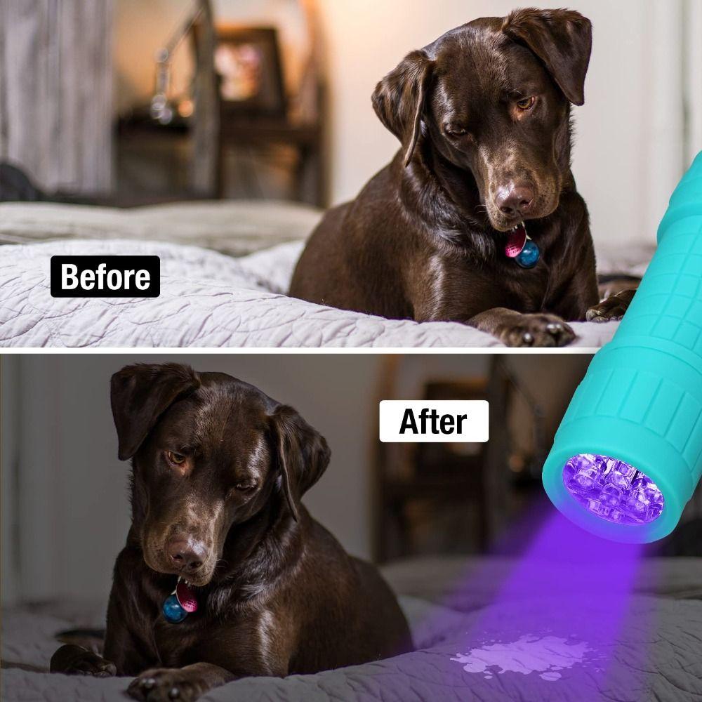 6PCS High Quality Mini LED Flashlight Waterproof Durable Handheld Torch Assorted Colors Emergency Flashlight Power Outage