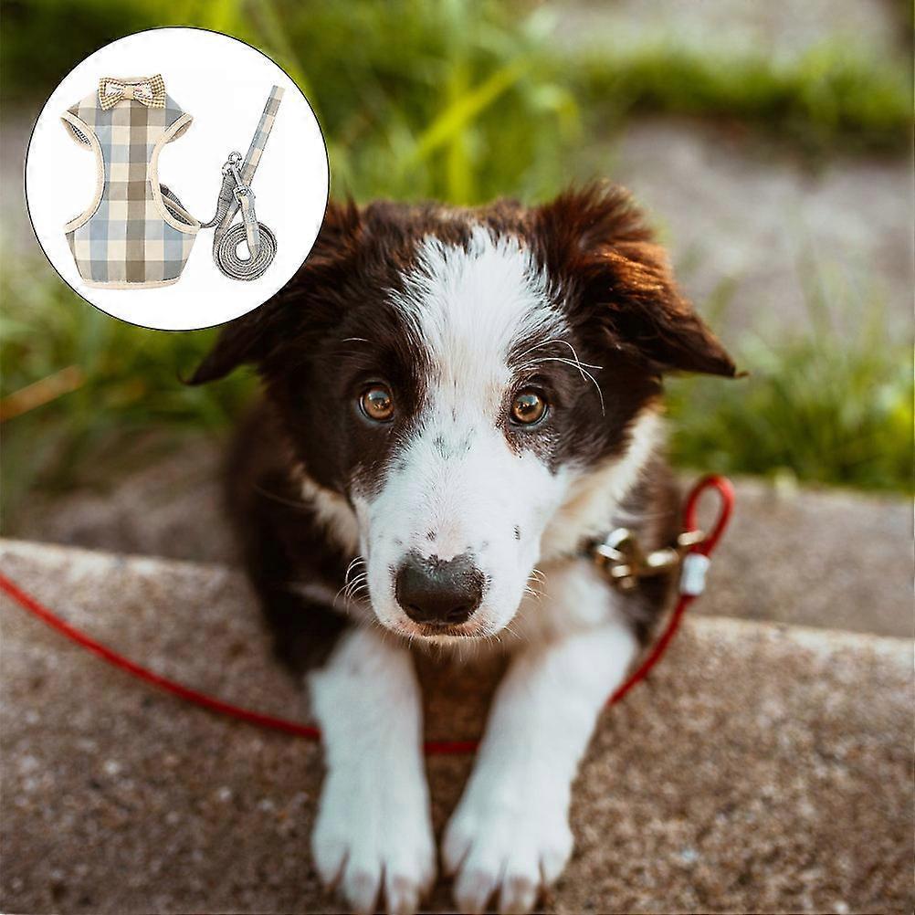 Puppy Vest Leash Pet Supply 2Pcs for Walking and Dress Up Pets