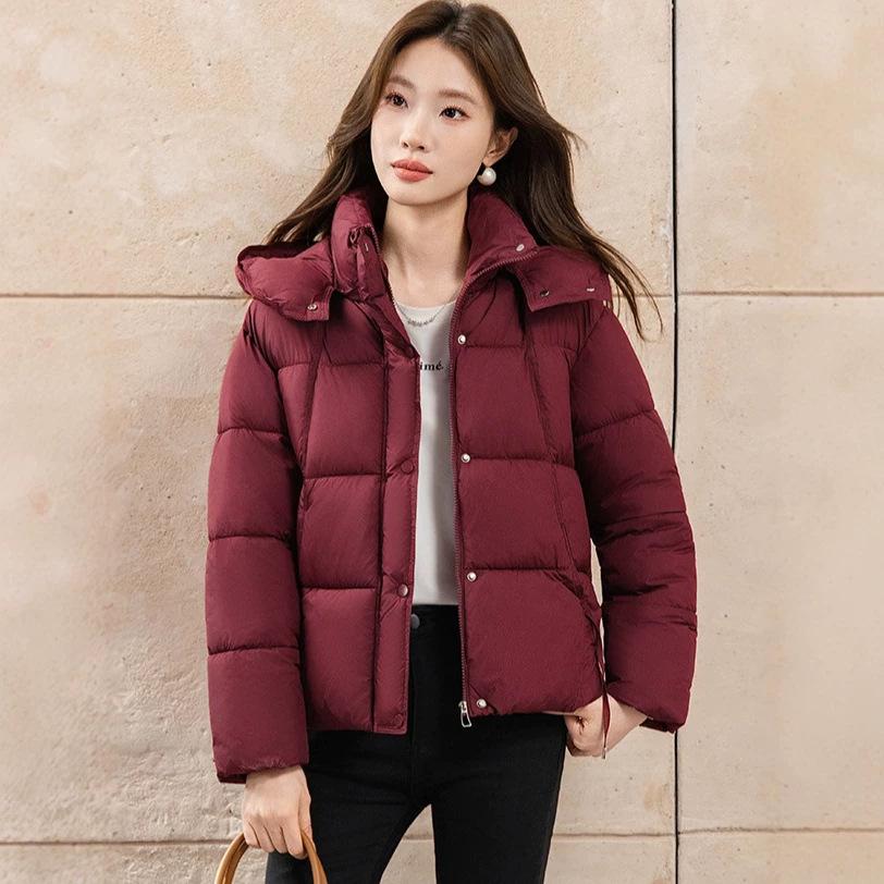 Short winter down cotton clothes women's new loose hooded bread clothes cotton coat