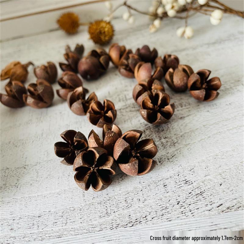 Natural Dried Pine Cones for Christmas Tree Decoration, Photography Props, Floral Wreaths, and Bouquets.