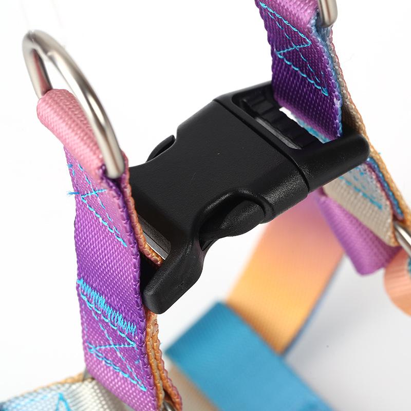 Pet Supplies Colorful Dog Leash Out Walking Dog Rope Anti-break Free Dog Rope Gradual Change Pet Chest Strap