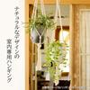 Richell Planter Hanging Pot Botany Hanging Pot 15 Type White Set of 3 Vegetables Stylish Outdoor Soil Plants Houseplants Bonsai 003370
