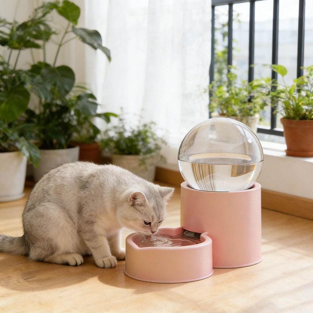 Fontaine à eau étanche pour animaux de compagnie Grande capacité Bol à nourriture pour animaux de compagnie Nouveau distributeur pour animaux de compagnie Pour chiots chatons animaux de compagnie