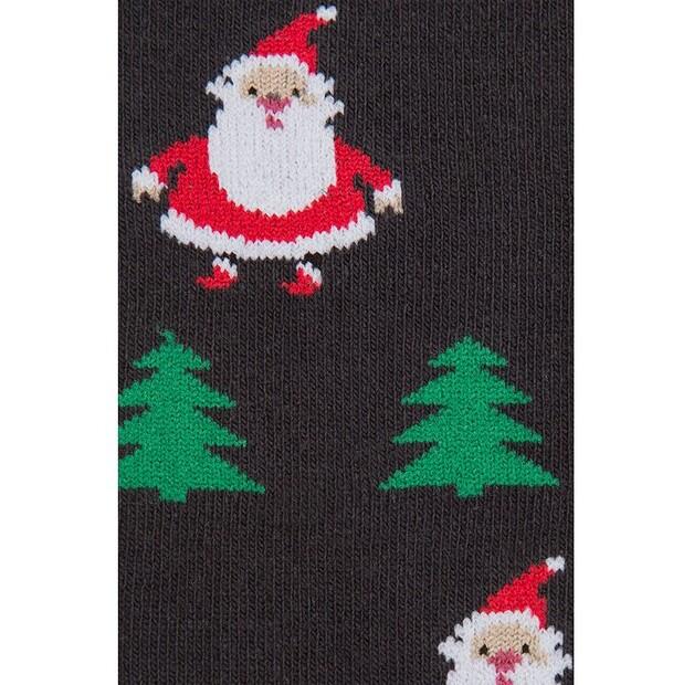 Long Socks Lancerto SK073220000022