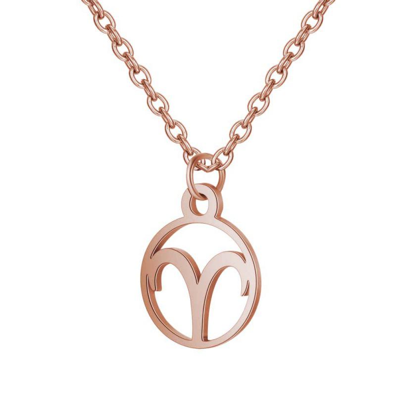 Stainless Steel Zodiac Pendant Necklace with Thin Chain