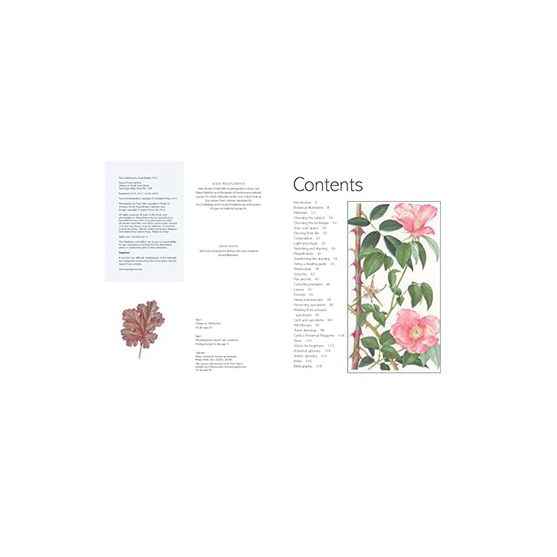 The Kew Book of Botanical Illustration Learn and Improve Your Approach To Botanical Art