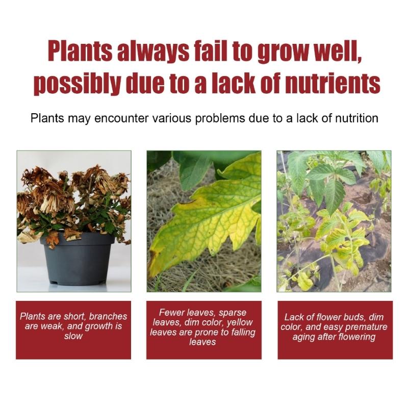 Gardening Slow Release Tablets Organic Fertilizers Plant Flowers Potassium Slow Release Agent Fertilizers for Garden