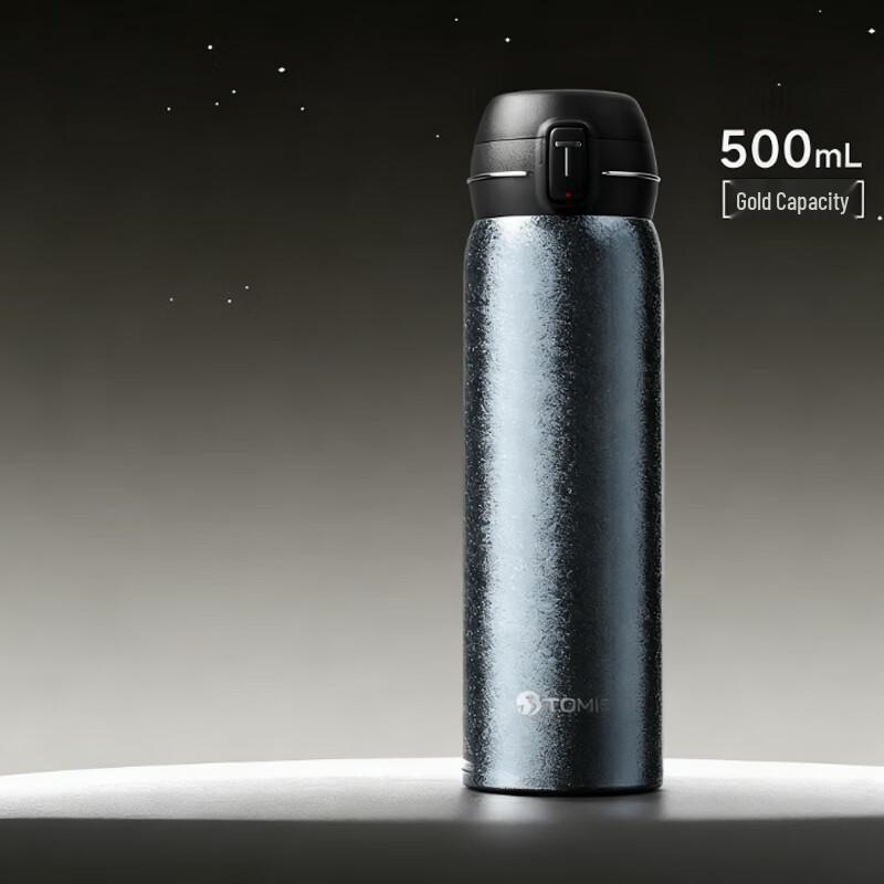 Temic Pure Titanium Insulated Travel Mug