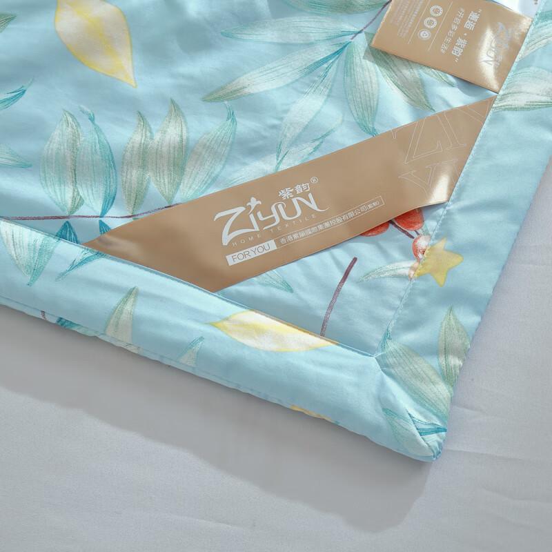 Ziyun Ice Silk Summer Quilt
