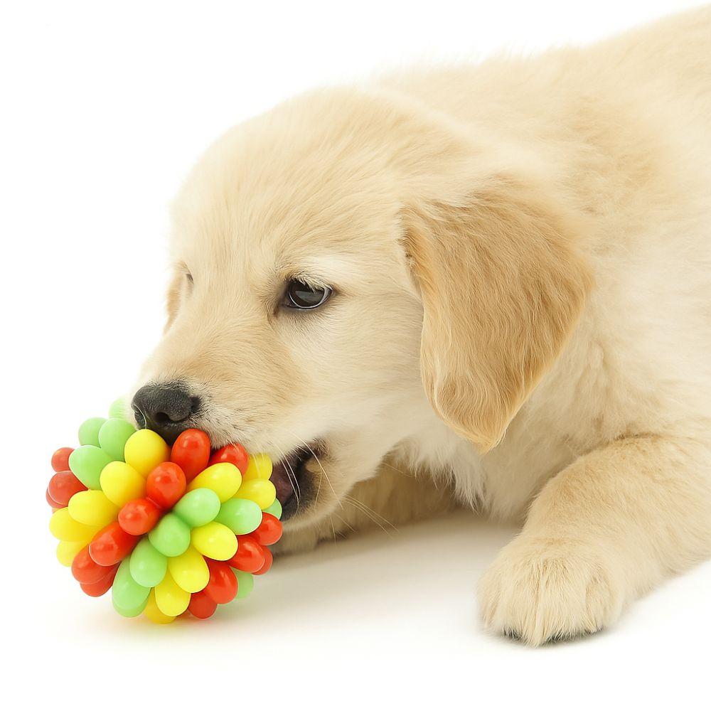 Bite Resistant Dog Elastic Ball Toy Colorful High Elastic Pet Chewing Toy TPR Dog Tooth Cleaning Toy For Dogs Cats