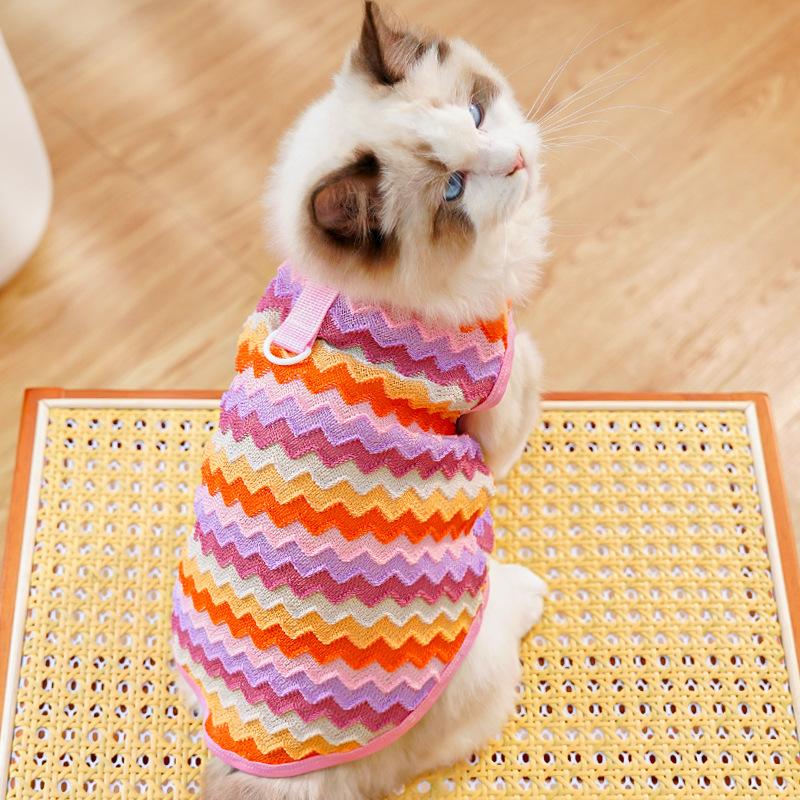 Pet spring and summer new cat clothing than bear dog cat pet clothes dog clothes