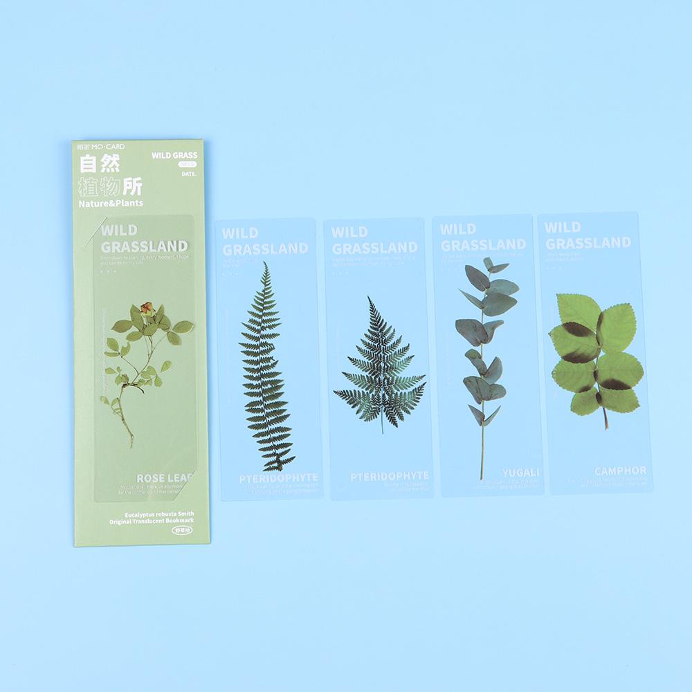 Note Marker Leaf Vein Specimen Bookmarks Bookmarks Card Nature Plants Bookmarks Translucent Flower