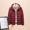 Women's Stand Collar Long Sleeve Puffer Jacket Regular Fit Commuter Style Lightweight Down Jacket