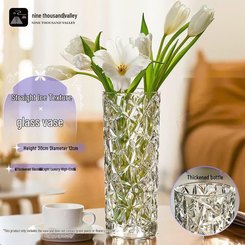 Jiuqiangu Nordic Light Luxury Glass Flower Vase