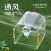 Hamster Takeout Cages Transparent Panoramic Portable Handbag Flower Branch Rat Honey Bag Flying Squirrel Golden Bear Out Bags