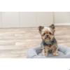 Dog Basket - TRIXIE - CityStyle - Round - 50 Cm - Grey