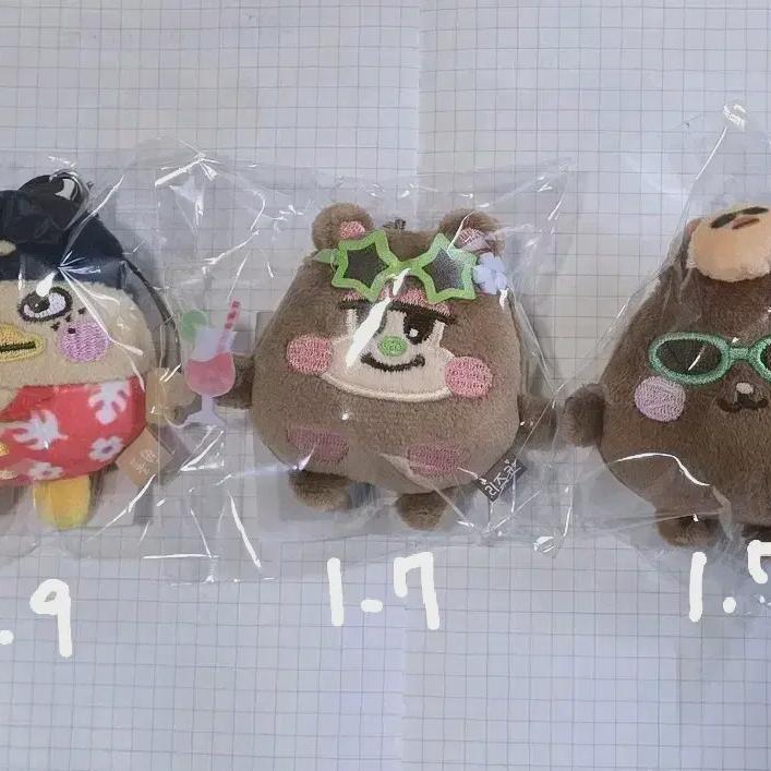 

RIIZE Концерт Кукла Мини Брелок Летние Солнечные Очки Tonyangduk Черепаха Бутылка Rizko