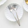 1 Piece of Silver Matte Cutlery (choose One Product)