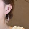 111 Silver Needle Sparkling Sequined Fringed Earrings Women's New Temperament Exaggerated Internet Celebrity Earrings High-end Earrings