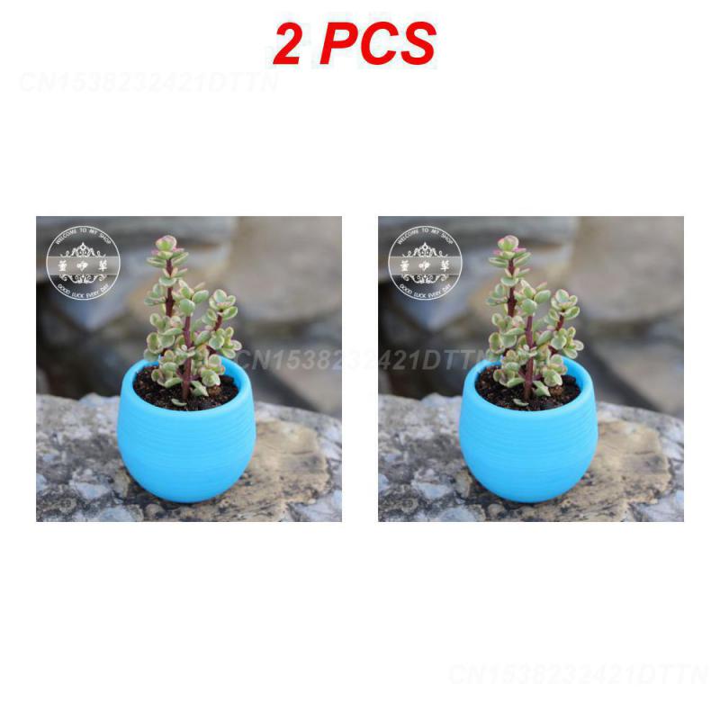 1/2/3PCS Plastic Flowerpot Small Green Plant Flowerpot Plant Desktop Potted Solid Color Mud Holder 2025 Succulent Plant Pot
