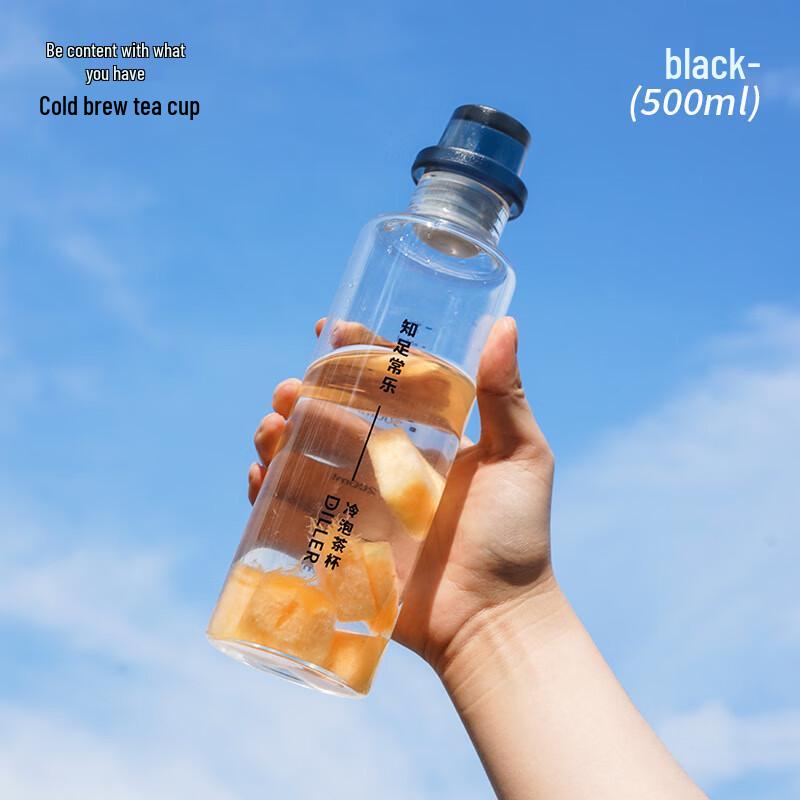 Diller High Borosilicate Glass Portable Tea Cup