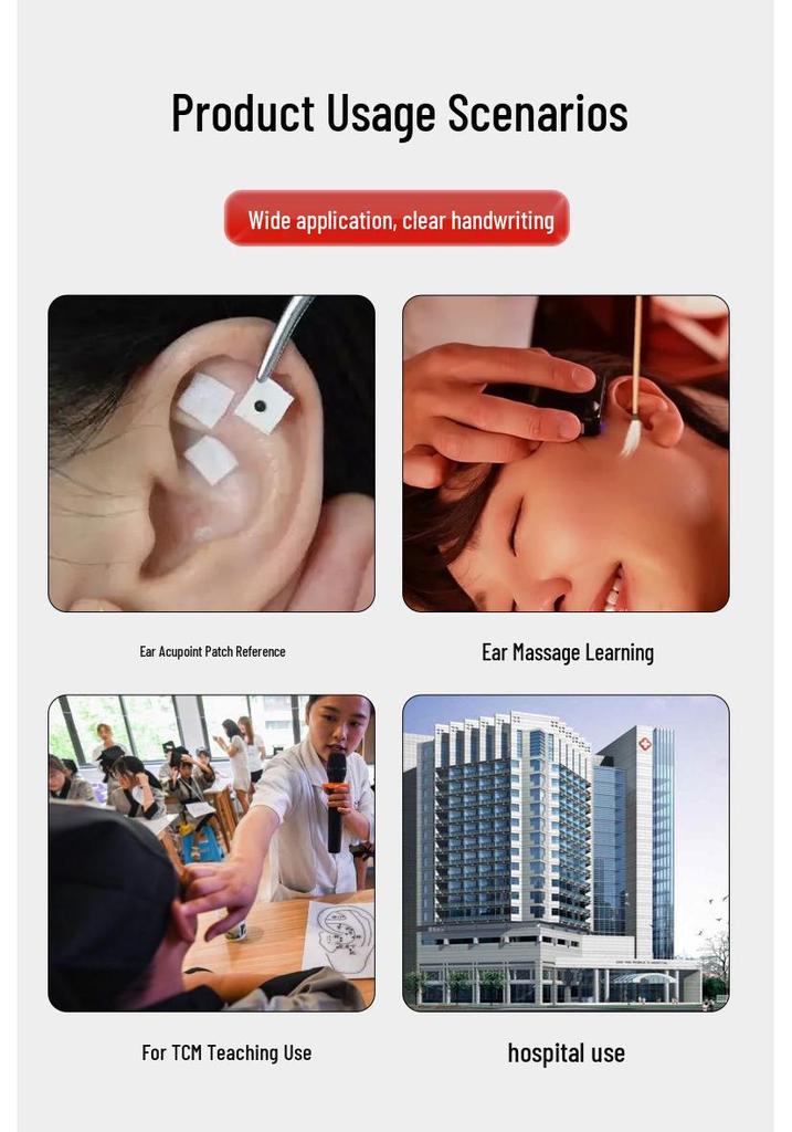 Ultra-Clear Extra Large Ear Acupuncture & Reflexology Model with Multi-Hole Acupoint Diagram