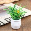 5Pcs 1:12 Dollhouse Miniature Green Plant Pot Furniture Home Decor Accessories