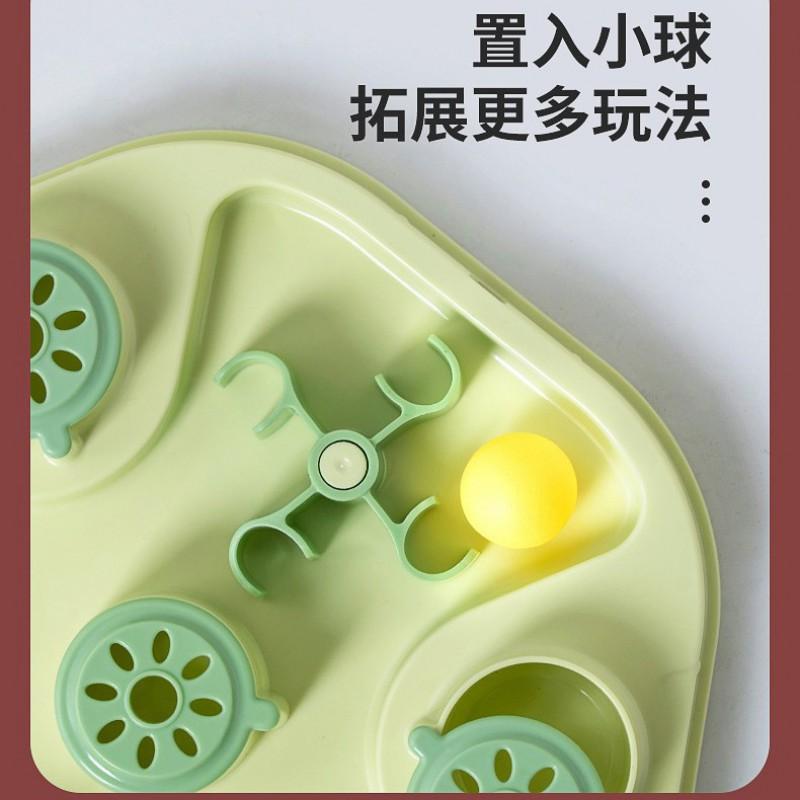 Cat Puzzle Feeder Toy - Slow Feed Interactive Maze Dry Food Treats ABS Material Indoor Use