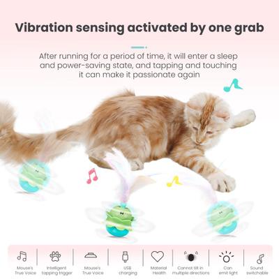 Kedi – Kedi Oyuncakları