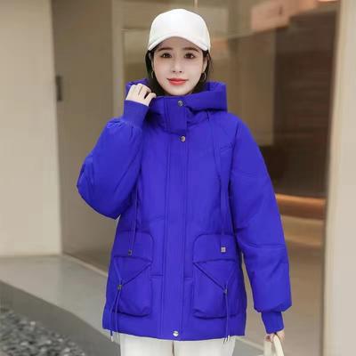 Нове жіноче довге вільне стьобане стьобане жіноче пухове стьобане пальто з капюшоном