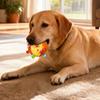 Dog Soccer Balls with Bell, Outdoor Interactive Toys for Tug of War, Puppy Birthday Gifts, Water Toys, Durable Rope & Squeaky Ball for Small/Medium