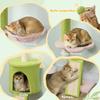 Floor-to-Ceiling Cat Tree, 5 Levels 220-240 Cm, Flower Platforms, Den, Hammock, Green