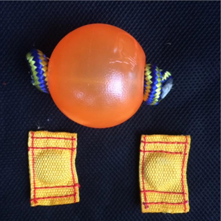 Palla Magnetica per Addestramento Cani, Palla Morbida Arancione/Blu con Corda